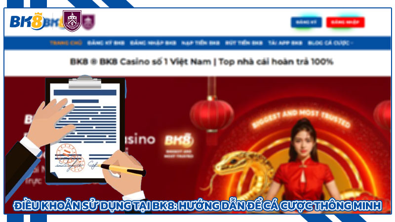 Điều khoản sử dụng tại BK8: Hướng dẫn để cá cược thông minh