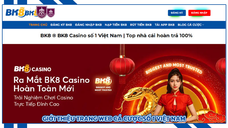 Giới thiệu trang web cá cược số 1 Việt Nam
