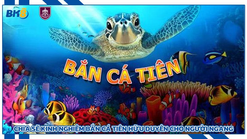 Chia sẽ kinh nghiệm bắn cá tiên hữu duyên cho người ngang