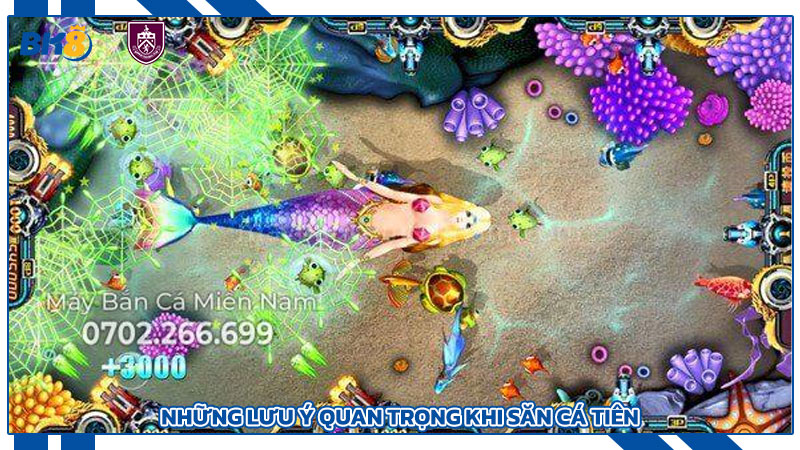 Những Lưu Ý Quan Trọng Khi Săn Cá Tiên